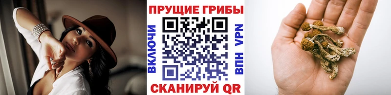 Галлюциногенные грибы мухоморы  Весьегонск 